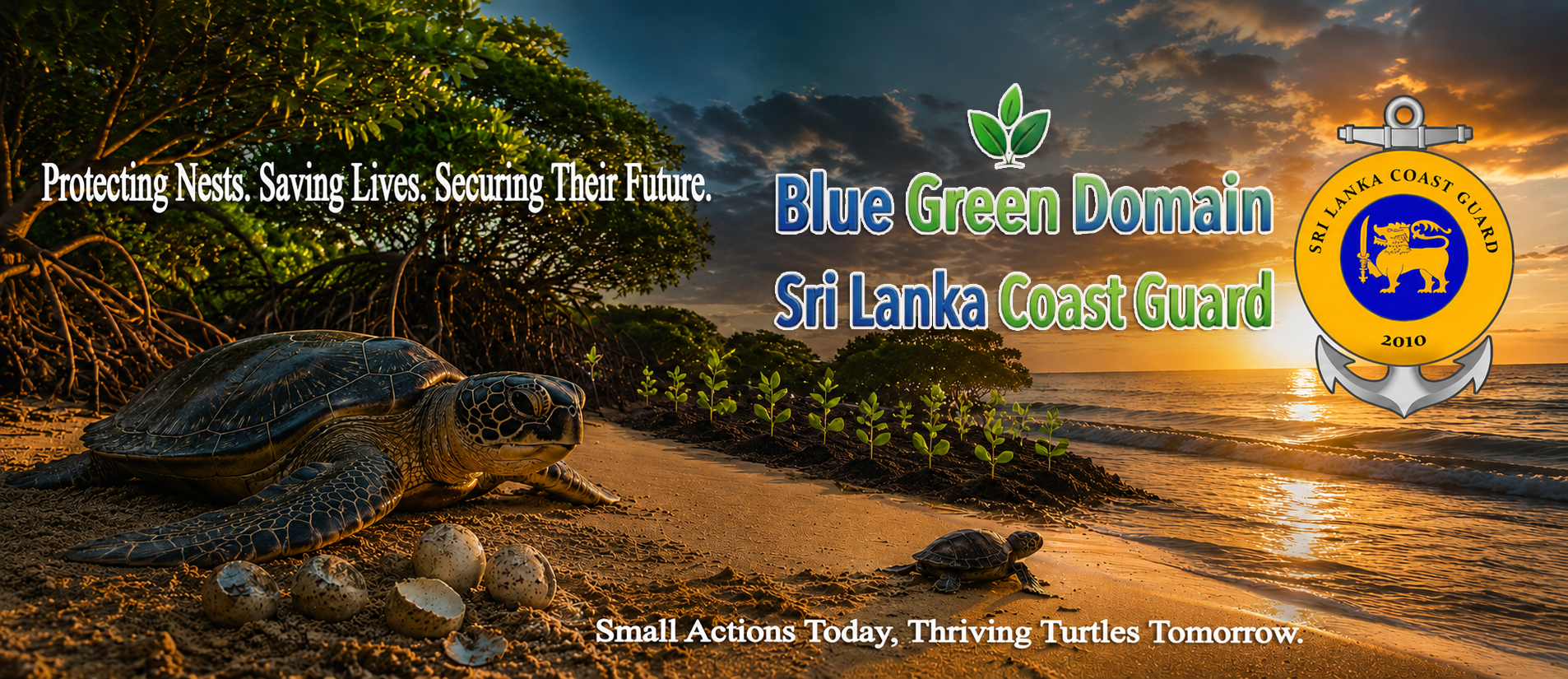 Turtle Conservation Sri Lanka