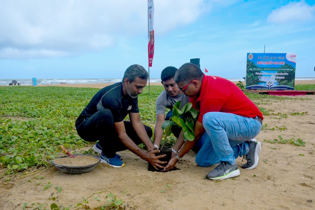 Mangrove Planting 4