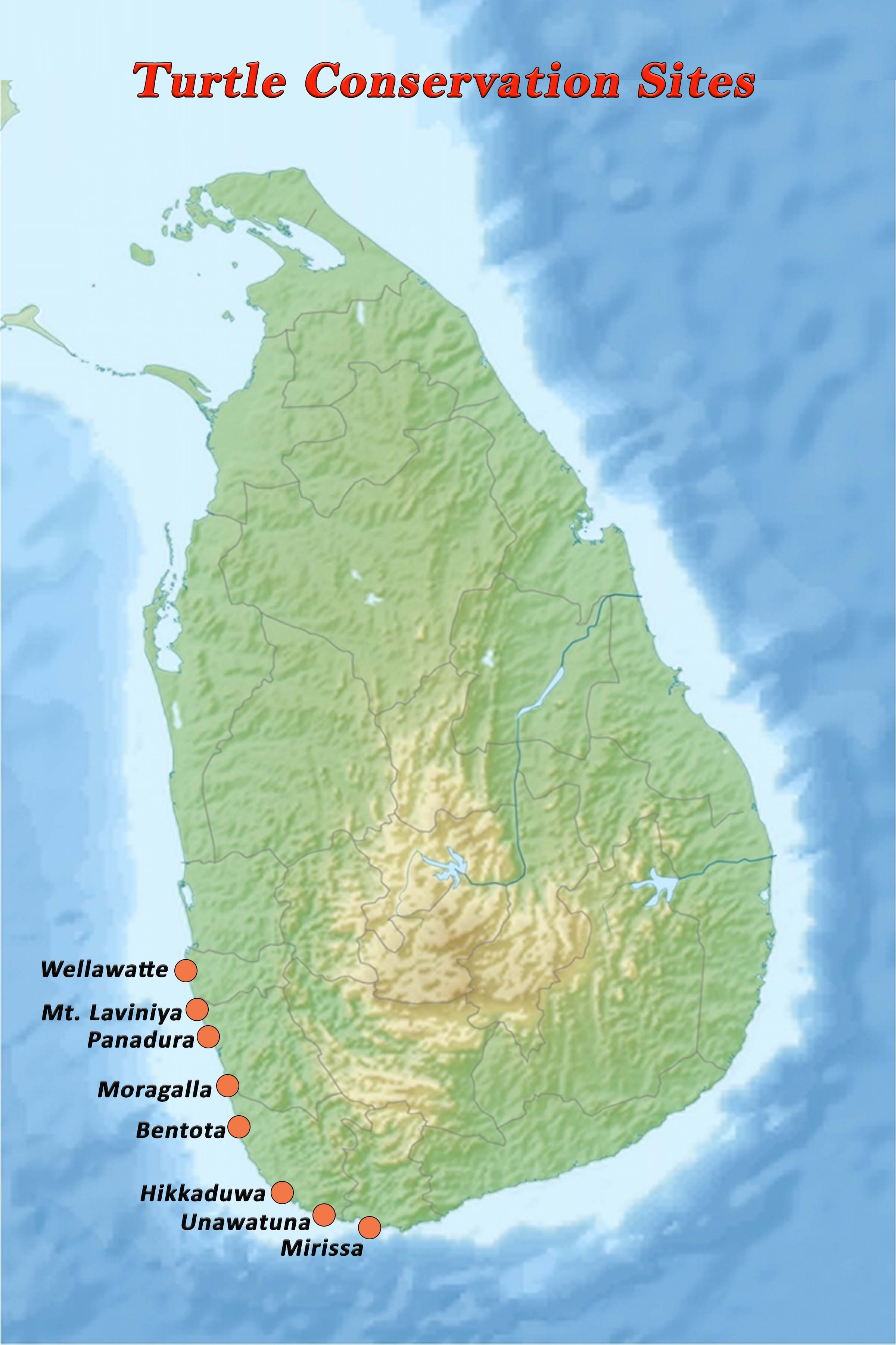 Turtle Conservation Project
